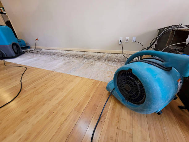 Professional Basement Flood Cleanup technician working in San Jacinto, CA